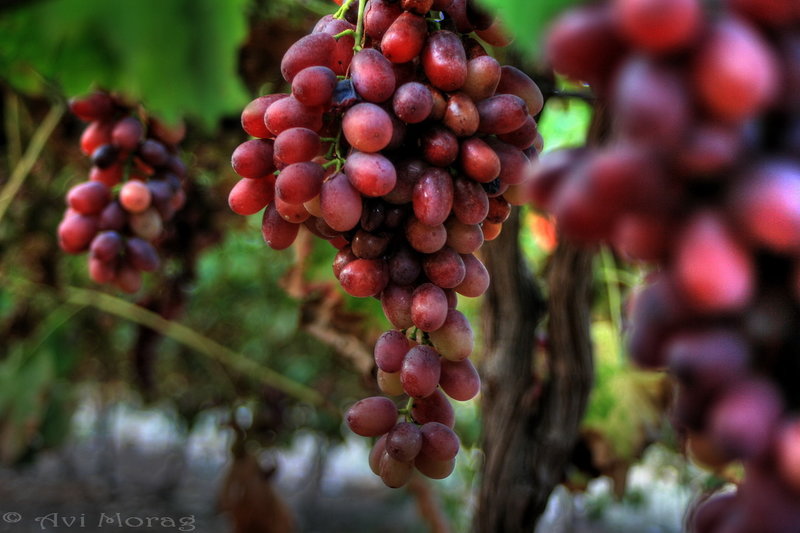 סיפור ילדים: מה עזר לגד להיגמל משתיית אלכוהול מופרזת?