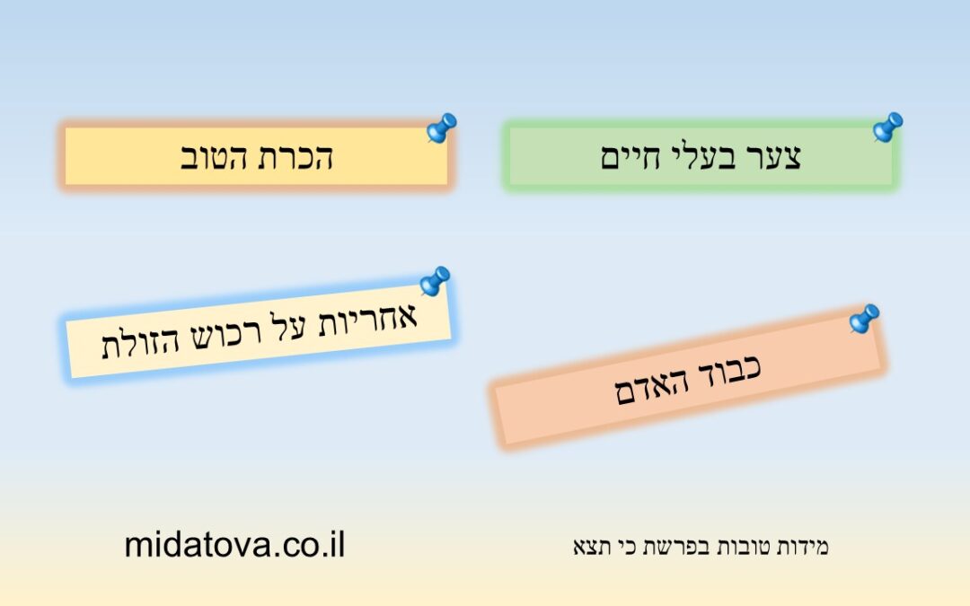 d79ed799d793d795d7aad79bd799d7aad7a6d790 מידה טובה בפרשה