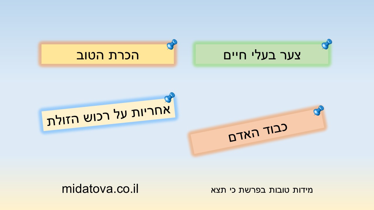 מידות כי תצא ג | מידה טובה בפרשה